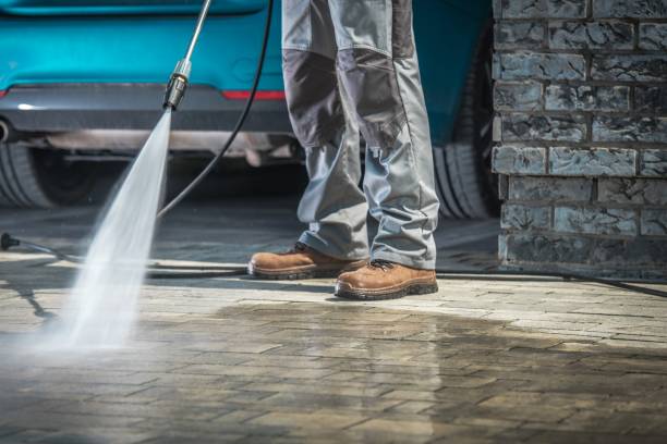 Best Dumpster Area Cleaning  in Watkins Glen, NY