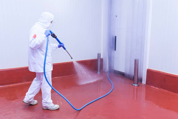 Best Sidewalk and Walkway Cleaning  in Watkins Glen, NY